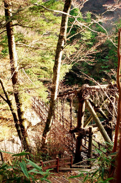 �H�̑c�J
(413�~620pixel,123.6KB)