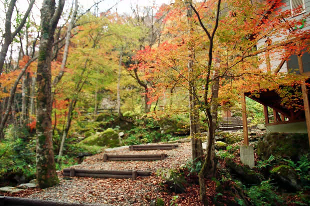 �H�̑c�J
(620�~413pixel,96.7KB)