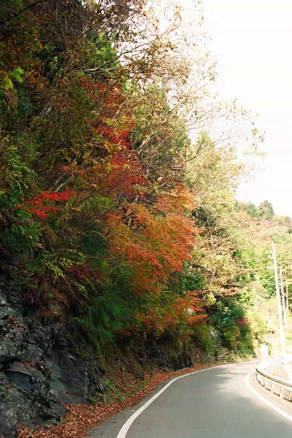 �H�̑c�J
(413�~620pixel,83.9KB)