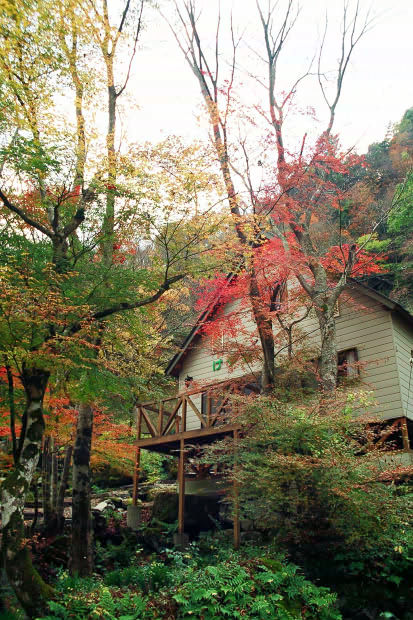 �H�̑c�J
(413�~620pixel,97.9KB)