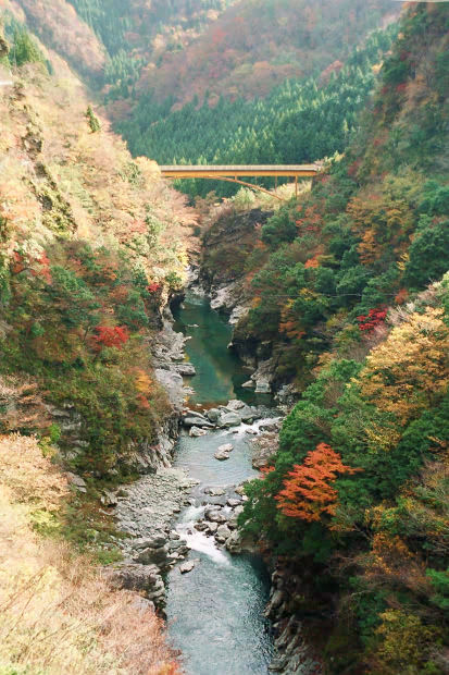 �H�̑c�J
(413�~620pixel,84.8KB)