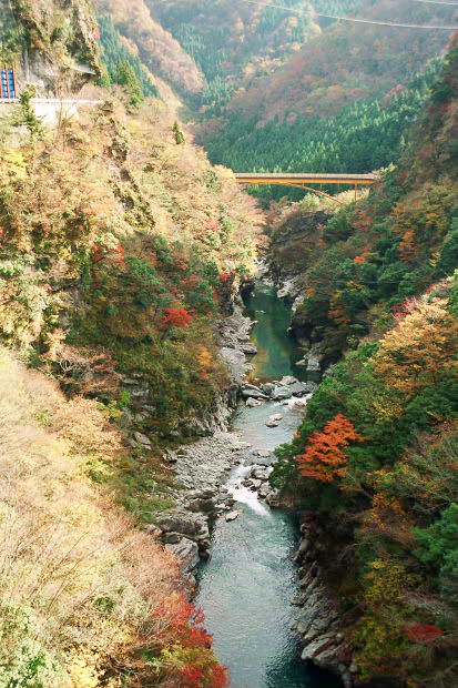 �H�̑c�J
(413�~620pixel,92.2KB)