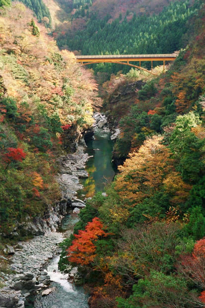 �H�̑c�J
(413�~620pixel,89.3KB)