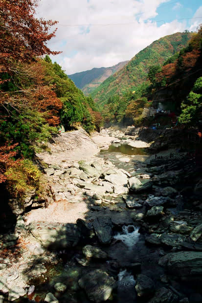 �H�̑c�J
(413�~620pixel,77.1KB)