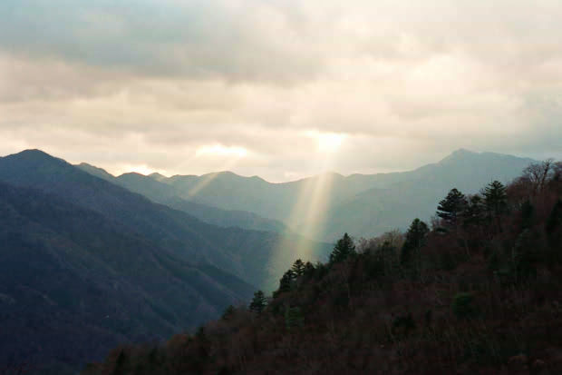 �H�̑c�J
(620�~413pixel,20.1KB)