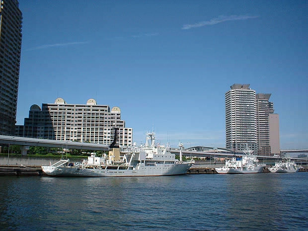 �L��
(620�~465pixel,60.0KB)