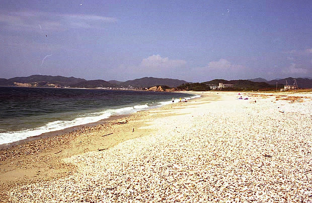 �W�H��
(620�~404pixel,87.6KB)