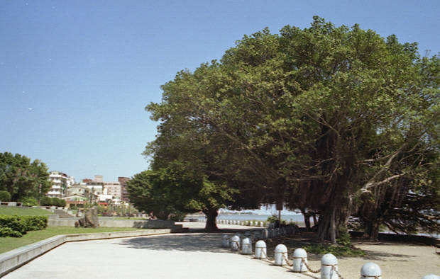 �W��
(620�~394pixel,43.8KB)