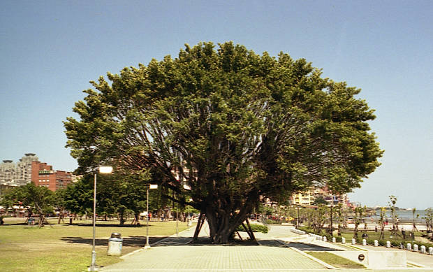 �W��
(620�~389pixel,58.0KB)