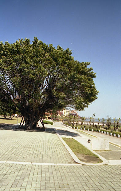 �W��
(394�~620pixel,51.3KB)