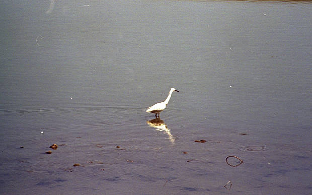 �W��
(620�~389pixel,28.9KB)