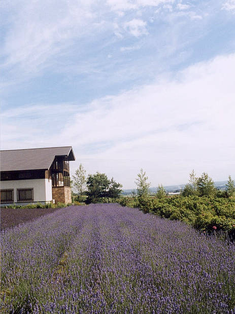 �x�ǖ�
(463�~620pixel,56.6KB)