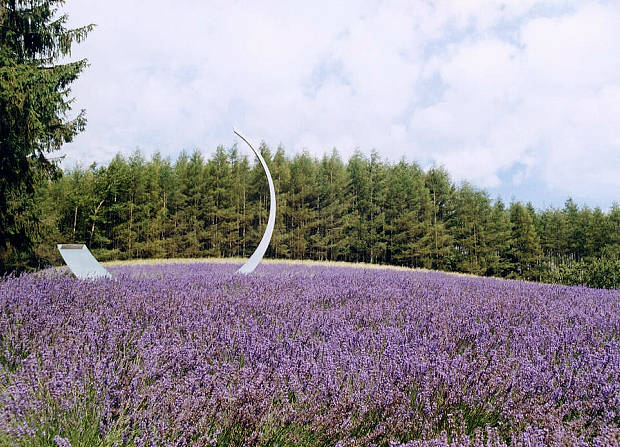 �x�ǖ�
(620�~447pixel,81.9KB)