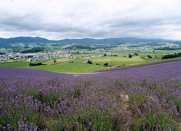 �x�ǖ�
(620�~447pixel,76.6KB)