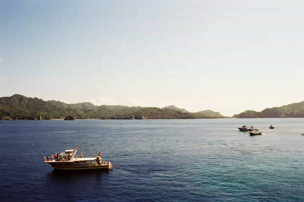 �񌩍`�o�q
(620�~413pixel,26.2KB)