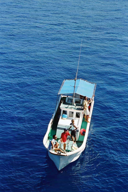 �񌩍`�o�q
(413�~620pixel,61.4KB)