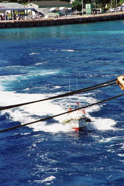 �񌩍`�o�q
(413�~620pixel,65.3KB)