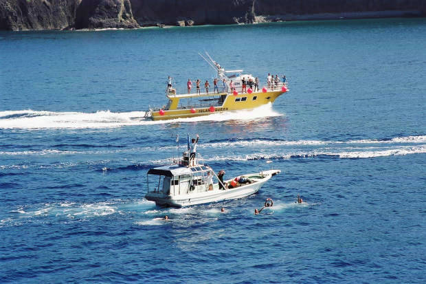 �񌩍`�o�q
(620�~413pixel,55.6KB)