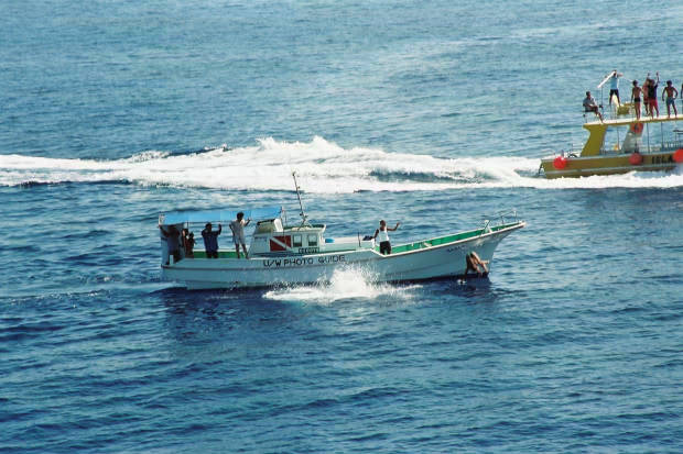 �񌩍`�o�q
(620�~413pixel,54.4KB)