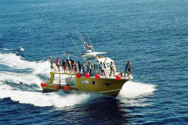 �񌩍`�o�q
(620�~413pixel,62.4KB)