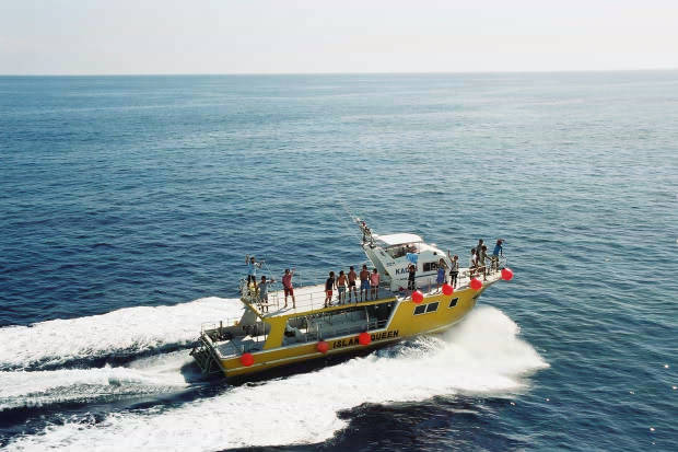 �񌩍`�o�q
(620�~413pixel,45.3KB)