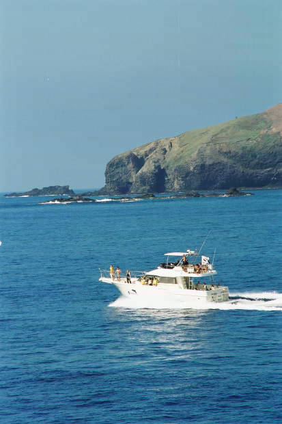 �񌩍`�o�q
(413�~620pixel,35.4KB)