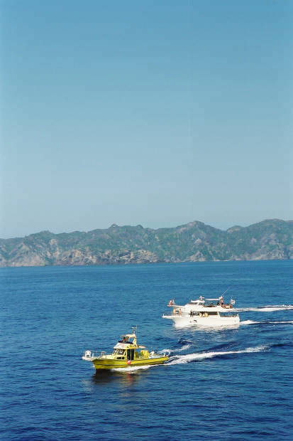 �񌩍`�o�q
(413�~620pixel,28.9KB)