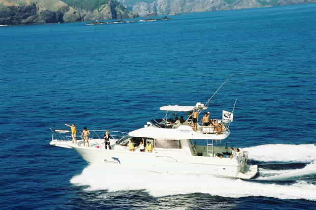 �񌩍`�o�q
(620�~413pixel,48.9KB)