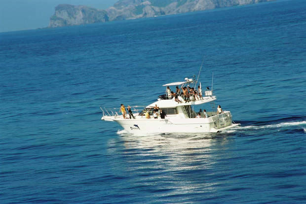 �񌩍`�o�q
(620�~413pixel,42.3KB)