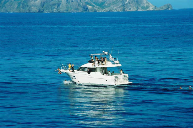 �񌩍`�o�q
(620�~413pixel,48.3KB)