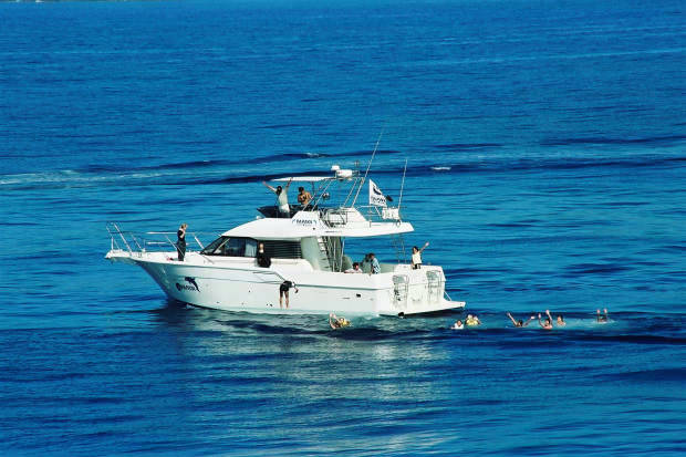 �񌩍`�o�q
(620�~413pixel,49.7KB)