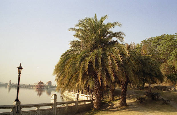 ���Y�E�@���K
(620�~404pixel,47.3KB)