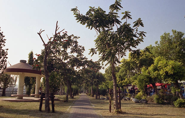 ���Y�E�@���K
(620�~396pixel,66.0KB)