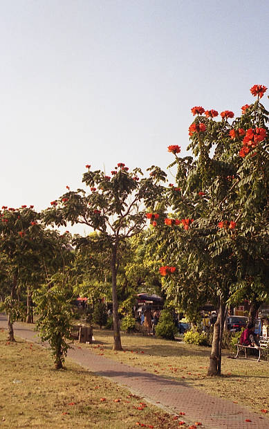 ���Y�E�@���K
(389�~620pixel,61.5KB)