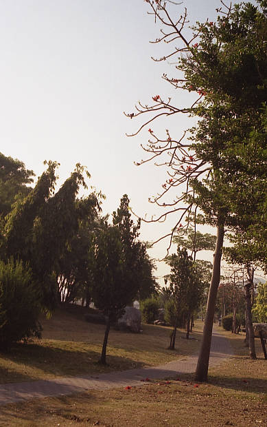 ���Y�E�@���K
(389�~620pixel,54.1KB)