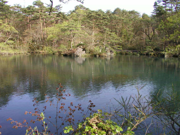 �ܐF��
(620�~465pixel,70.1KB)