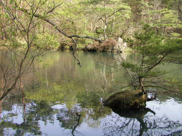 �ܐF��
(620�~465pixel,80.4KB)