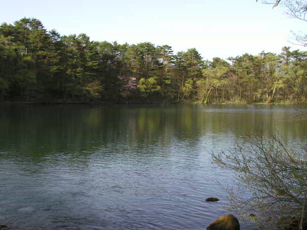 �ܐF��
(620�~465pixel,49.9KB)