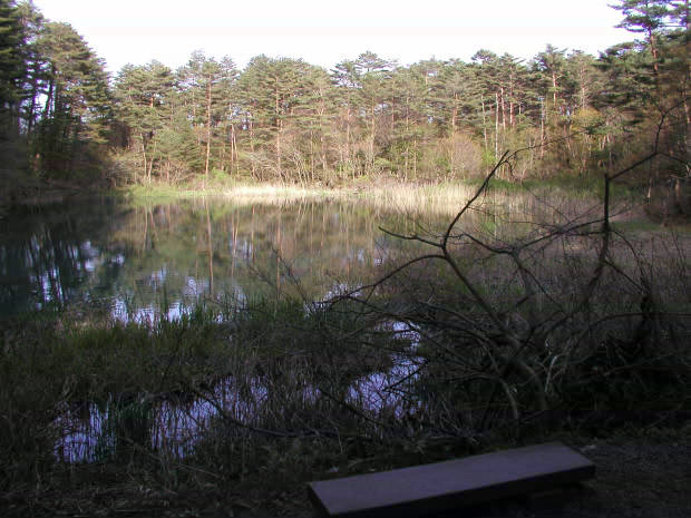 �ܐF��
(620�~465pixel,53.6KB)