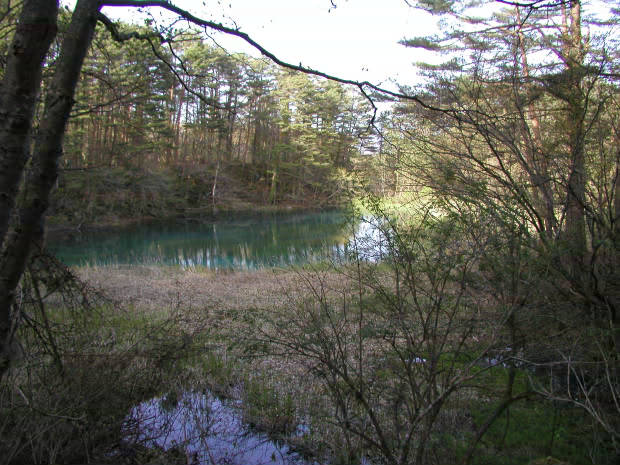 �ܐF��
(620�~465pixel,69.8KB)