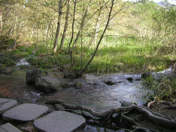 �ܐF��
(620�~465pixel,76.1KB)