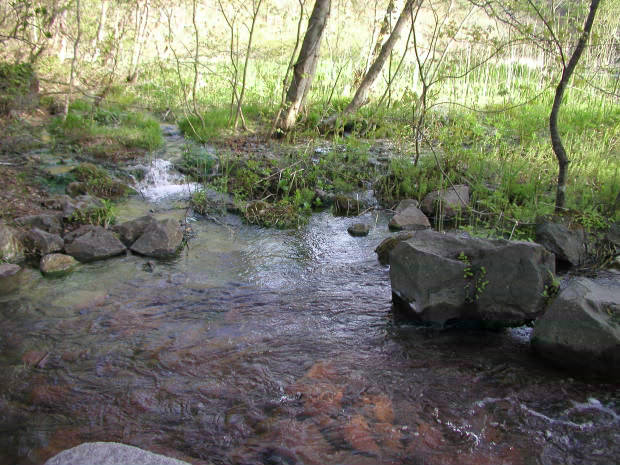 �ܐF��
(620�~465pixel,71.5KB)