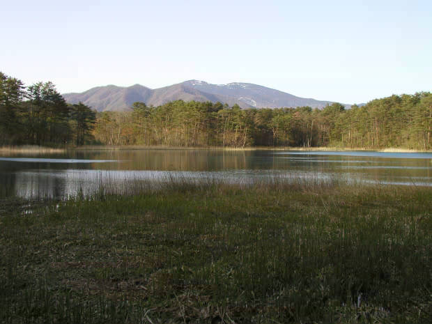 �ܐF��
(620�~465pixel,38.3KB)