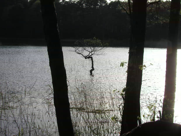 �ܐF��
(620�~465pixel,47.3KB)