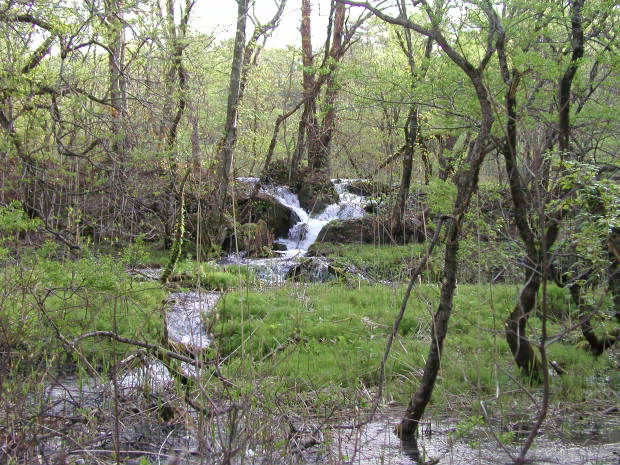 �ܐF��
(620�~465pixel,90.3KB)