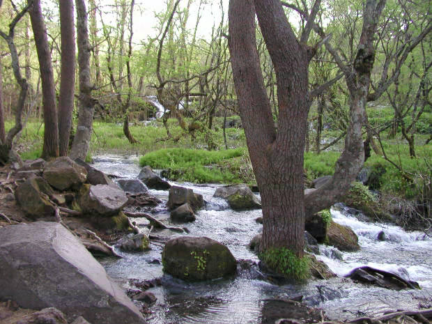 �ܐF��
(620�~465pixel,76.5KB)