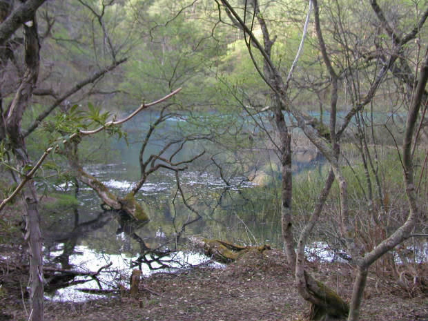 �ܐF��
(620�~465pixel,66.9KB)