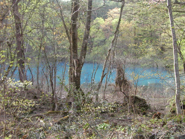 �ܐF��
(620�~465pixel,88.9KB)