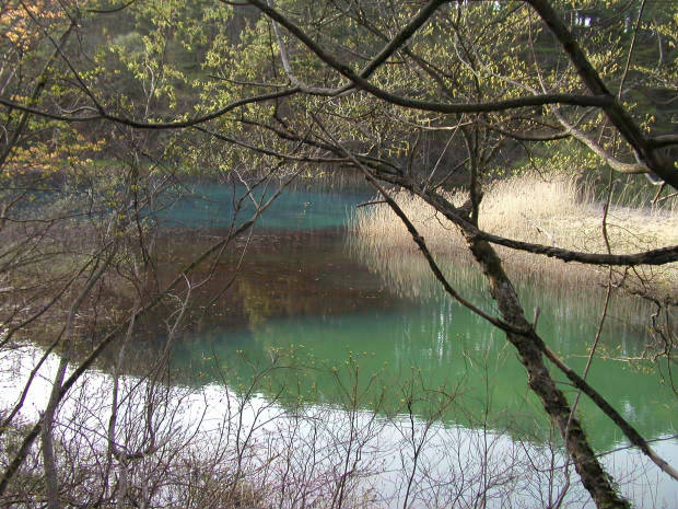 �ܐF��
(620�~465pixel,80.7KB)