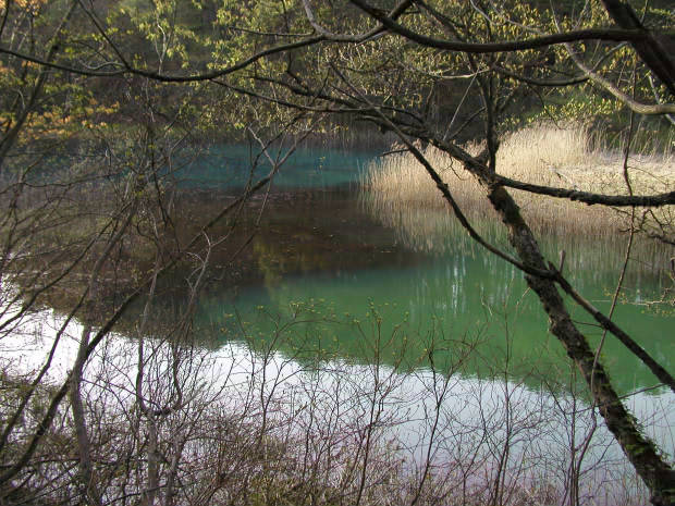 �ܐF��
(620�~465pixel,77.5KB)